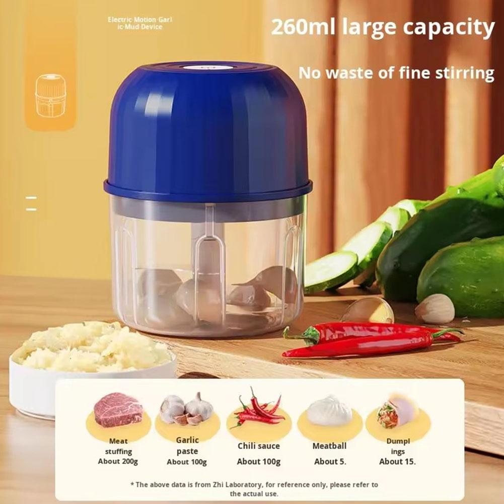 Penggiling Bawang Putih Mini E - Kitchen Electronics Gadgets ulasan dan harga